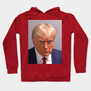 Official Donald Trump Mugshot 2023 Hoodie